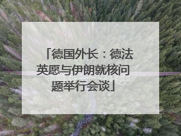 德国外长：德法英愿与伊朗就核问题举行会谈