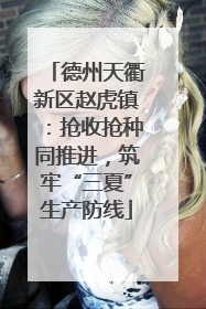 德州天衢新区赵虎镇：抢收抢种同推进，筑牢“三夏”生产防线
