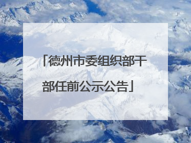 德州市委组织部干部任前公示公告