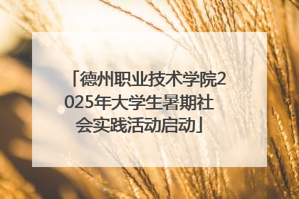 德州职业技术学院2025年大学生暑期社会实践活动启动