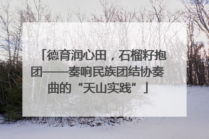 德育润心田，石榴籽抱团——奏响民族团结协奏曲的“天山实践”