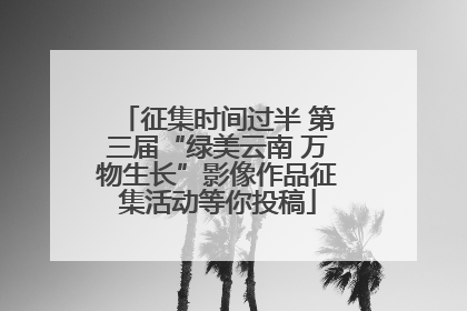 征集时间过半 第三届“绿美云南 万物生长”影像作品征集活动等你投稿