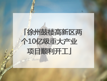徐州鼓楼高新区两个10亿级重大产业项目顺利开工