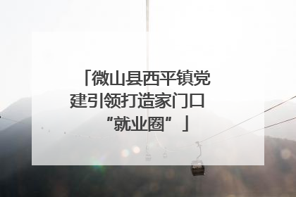 微山县西平镇党建引领打造家门口“就业圈”