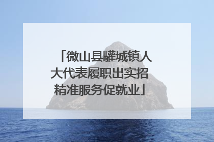 微山县驩城镇人大代表履职出实招精准服务促就业