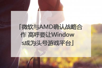 微软与AMD确认战略合作 高呼要让Windows成为头号游戏平台