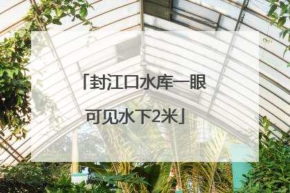 封江口水库一眼可见水下2米