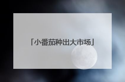 小番茄种出大市场