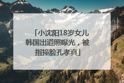 小沈阳18岁女儿韩国出道照曝光，被指撞脸孔孝真
