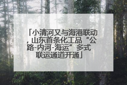 小清河又与海港联动，山东首条化工品“公路-内河-海运”多式联运通道开通