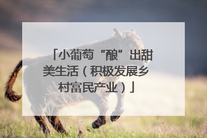 小葡萄“酿”出甜美生活（积极发展乡村富民产业）