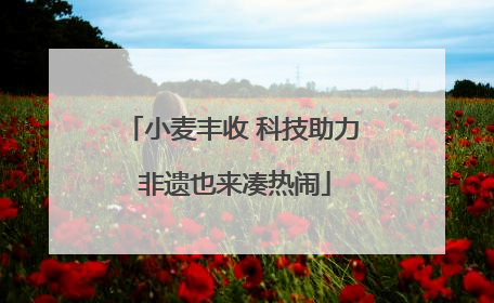 小麦丰收 科技助力 非遗也来凑热闹