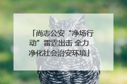尚志公安“净场行动”雷霆出击 全力净化社会治安环境