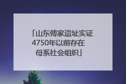 山东傅家遗址实证4750年以前存在母系社会组织