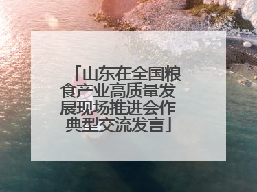 山东在全国粮食产业高质量发展现场推进会作典型交流发言