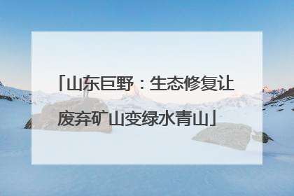 山东巨野：生态修复让废弃矿山变绿水青山