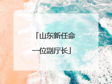 山东新任命一位副厅长