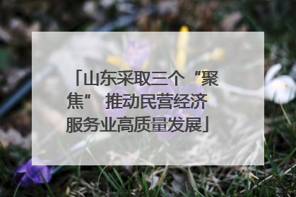 山东采取三个“聚焦” 推动民营经济服务业高质量发展