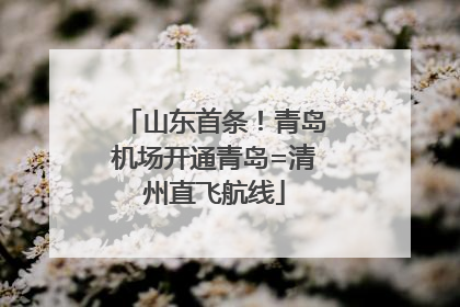 山东首条！青岛机场开通青岛=清州直飞航线