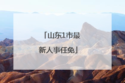 山东1市最新人事任免