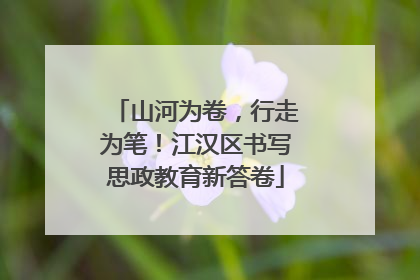 山河为卷，行走为笔！江汉区书写思政教育新答卷