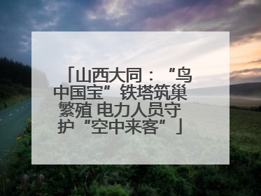 山西大同：“鸟中国宝”铁塔筑巢繁殖 电力人员守护“空中来客”