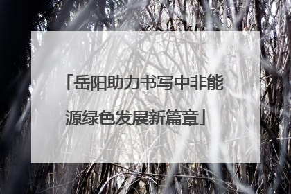 岳阳助力书写中非能源绿色发展新篇章