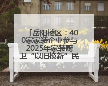 岳阳楼区：400家家装企业参与2025年家装厨卫“以旧换新”民生工程