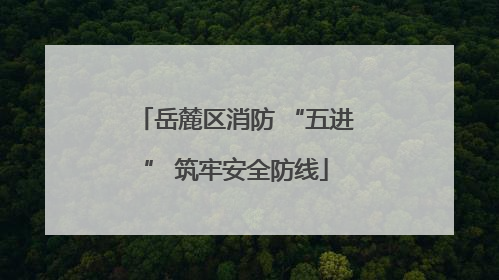 岳麓区消防 “五进” 筑牢安全防线
