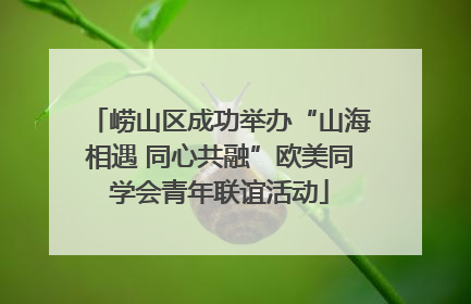 崂山区成功举办“山海相遇 同心共融”欧美同学会青年联谊活动