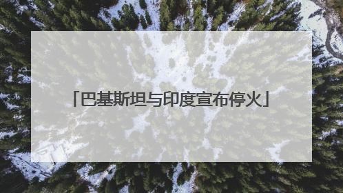 巴基斯坦与印度宣布停火