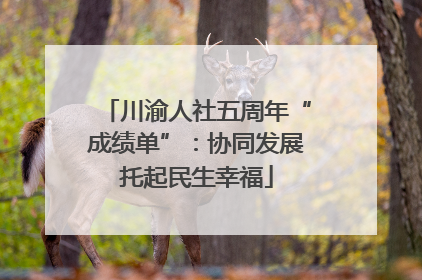 川渝人社五周年“成绩单”：协同发展托起民生幸福