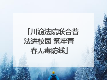 川渝法院联合普法进校园 筑牢青春无毒防线
