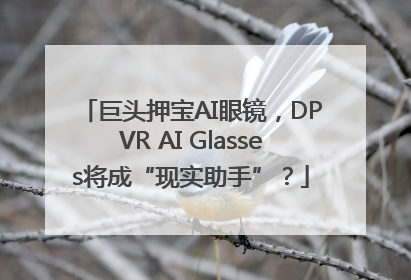 巨头押宝AI眼镜，DPVR AI Glasses将成“现实助手”？