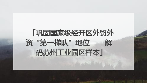 巩固国家级经开区外贸外资“第一梯队”地位——解码苏州工业园区样本