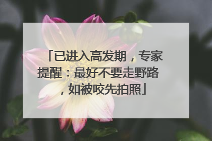 已进入高发期，专家提醒：最好不要走野路，如被咬先拍照