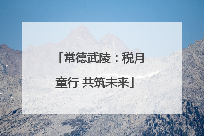 常德武陵：税月童行 共筑未来