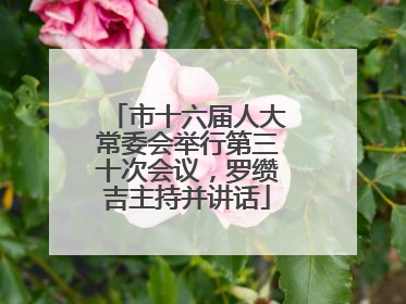 市十六届人大常委会举行第三十次会议，罗缵吉主持并讲话