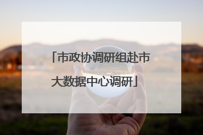 市政协调研组赴市大数据中心调研