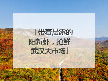 带着晨露的阳新虾，抢鲜武汉大市场