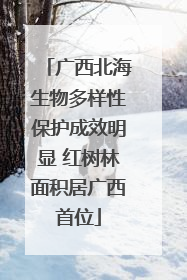 广西北海生物多样性保护成效明显 红树林面积居广西首位