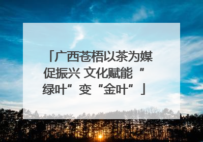 广西苍梧以茶为媒促振兴 文化赋能“绿叶”变“金叶”