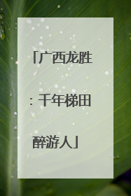 广西龙胜：千年梯田醉游人