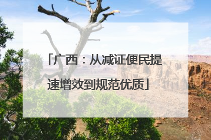 广西：从减证便民提速增效到规范优质