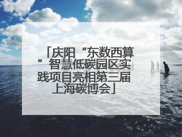 庆阳“东数西算”智慧低碳园区实践项目亮相第三届上海碳博会