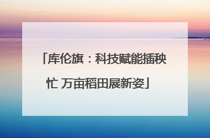 库伦旗：科技赋能插秧忙 万亩稻田展新姿