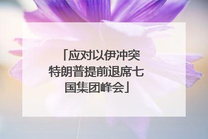 应对以伊冲突 特朗普提前退席七国集团峰会