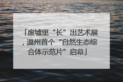 废墟里“长”出艺术展，温州首个“自然生态综合体示范片”启幕