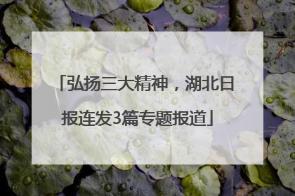 弘扬三大精神，湖北日报连发3篇专题报道