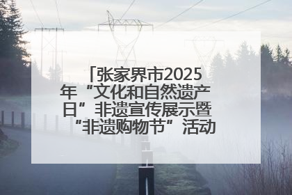 张家界市2025年“文化和自然遗产日”非遗宣传展示暨“非遗购物节”活动在慈利县盛大启幕